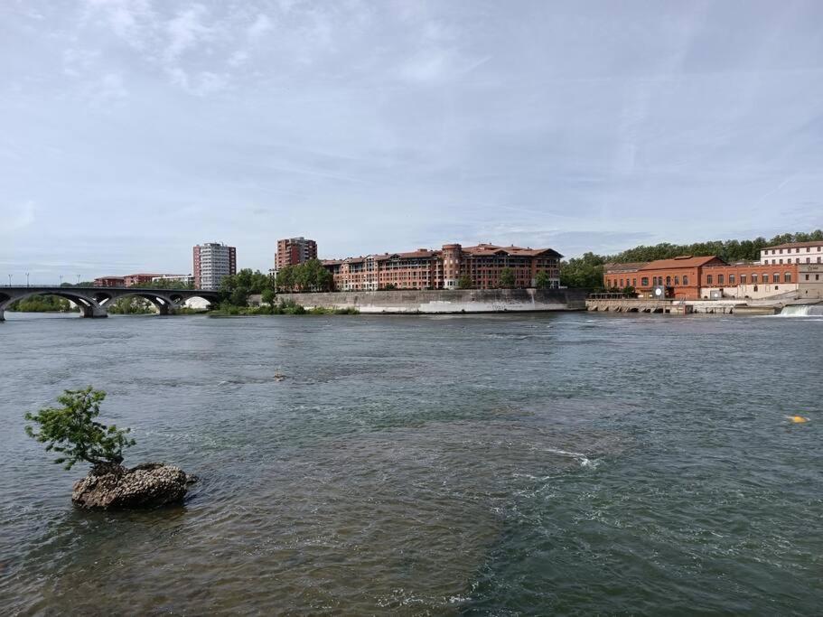 T3 Lumineux - Berges De La Garonne - Parking Toulouse Exterior foto